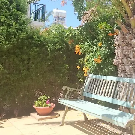 Summer Breeze *